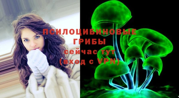 стафф Алексин